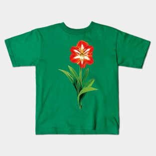 Orange and White Amaryllis Kids T-Shirt